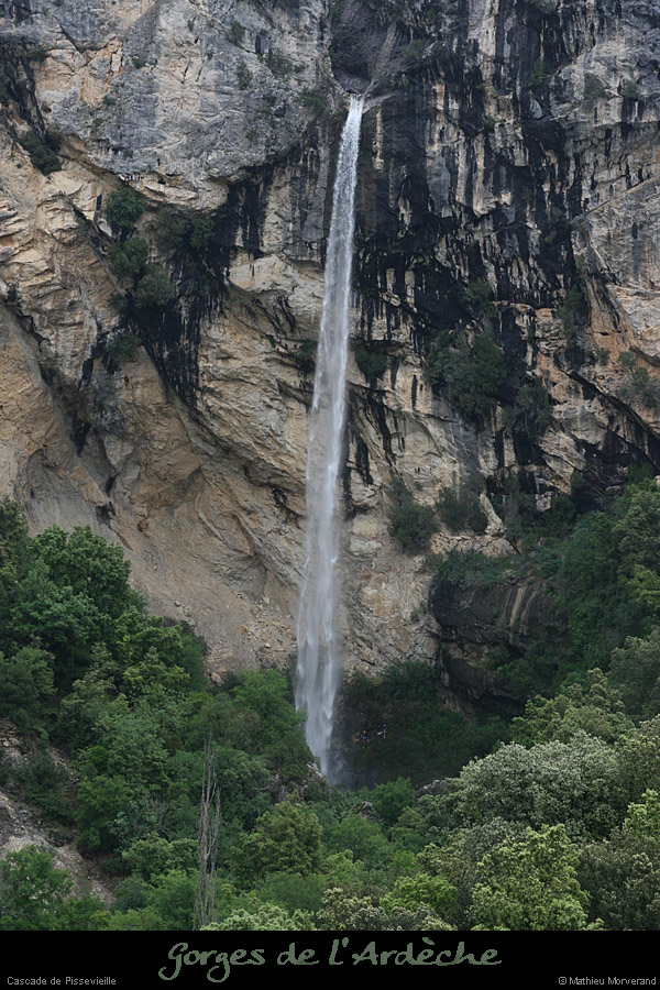 20080601_pissevielle01
