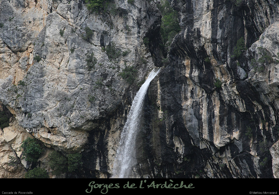 20080601_pissevielle26