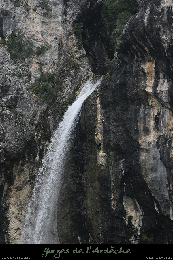 20080601_pissevielle29