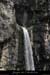 20080601_pissevieillenw14