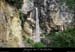 20080601_pissevieillenw16