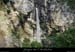 20080601_pissevieillenw17