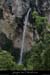 20080601_pissevielle14