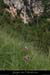 20080601_pisseviellew08