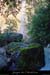 20041030_pissevieillecc06