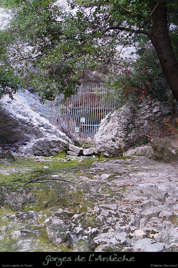 20030329_srctiourre3