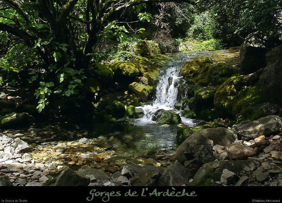 20130530_source_tiourre1