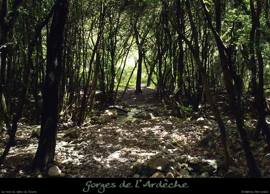 20130530_vallontiourre_pressource