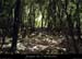 20130530_vallontiourre_pressource