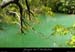 20001014_rutiourre