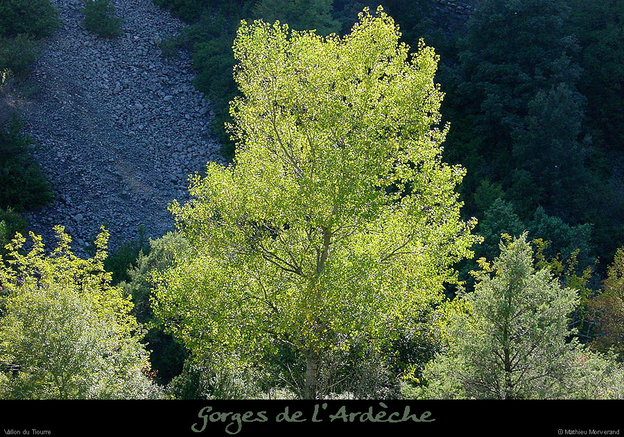 20011007_vtiourre