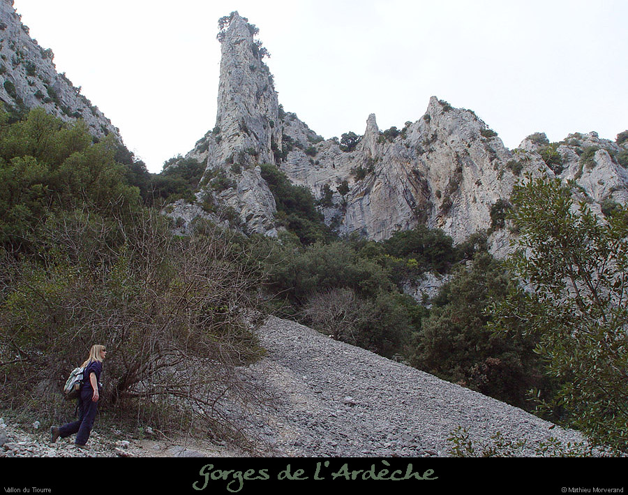 20030329_vtiourre08
