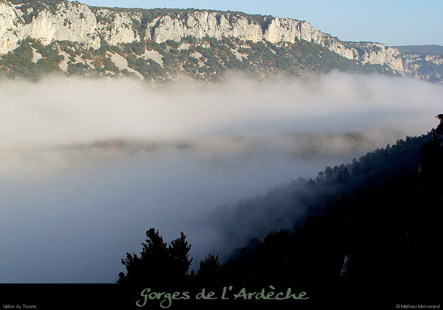 20031111_vtiourre3
