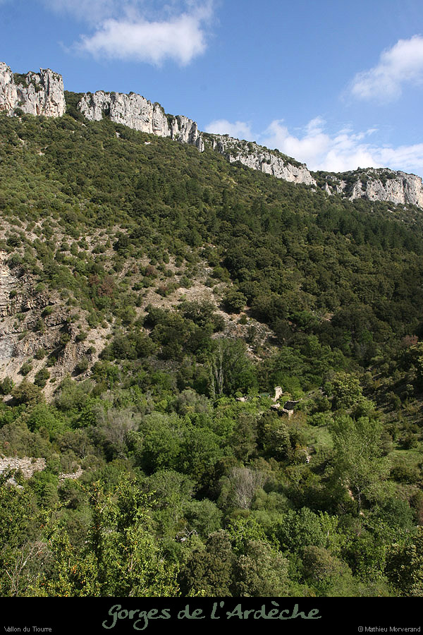 20100513_vallontiourre4