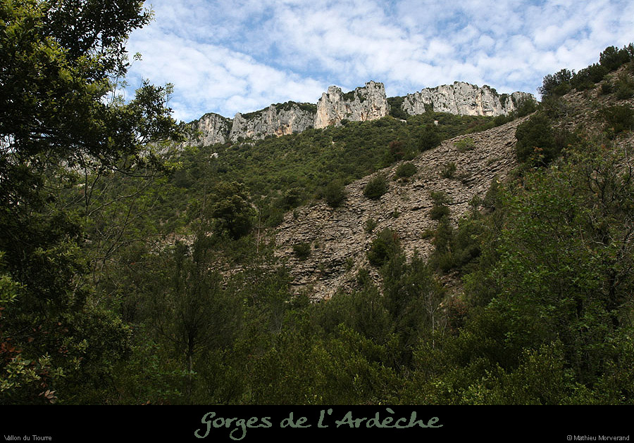 20100513_vallontiourre7