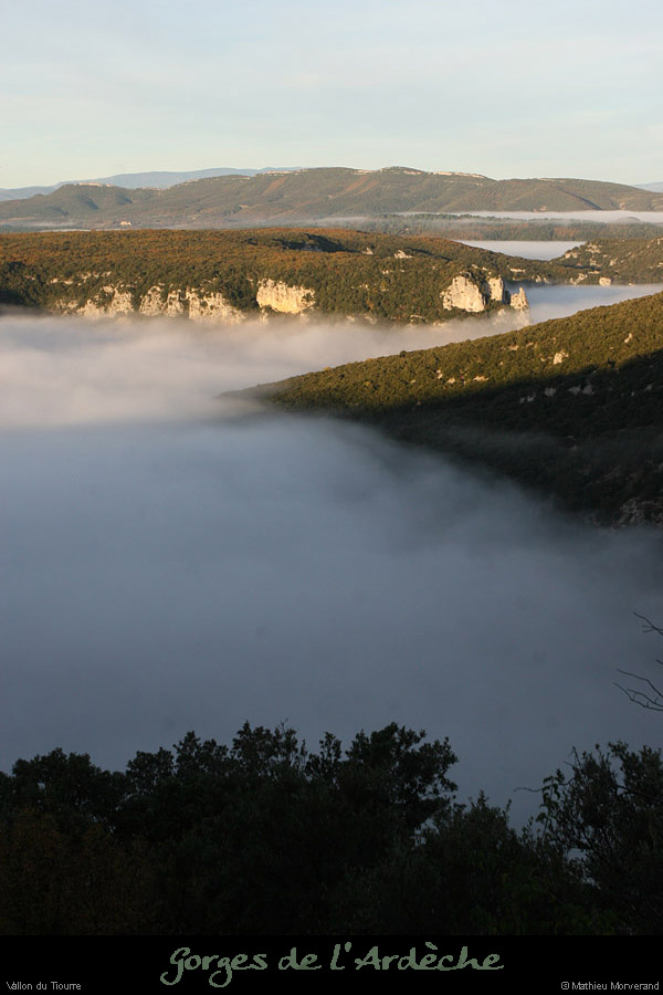20101113_vallontiourre10