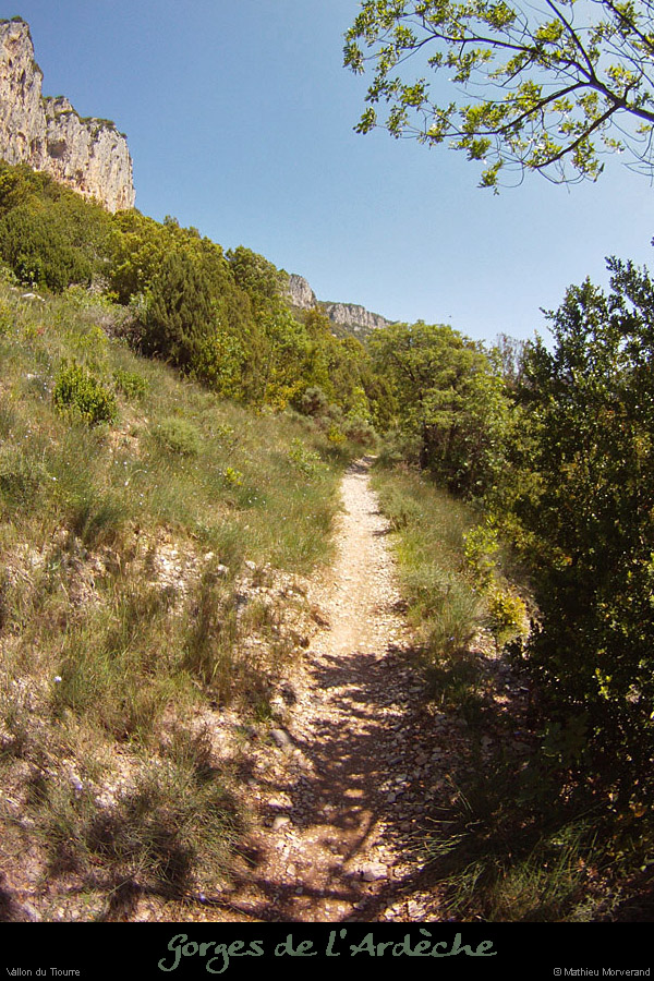 20120524_vallontiourre_sentier2