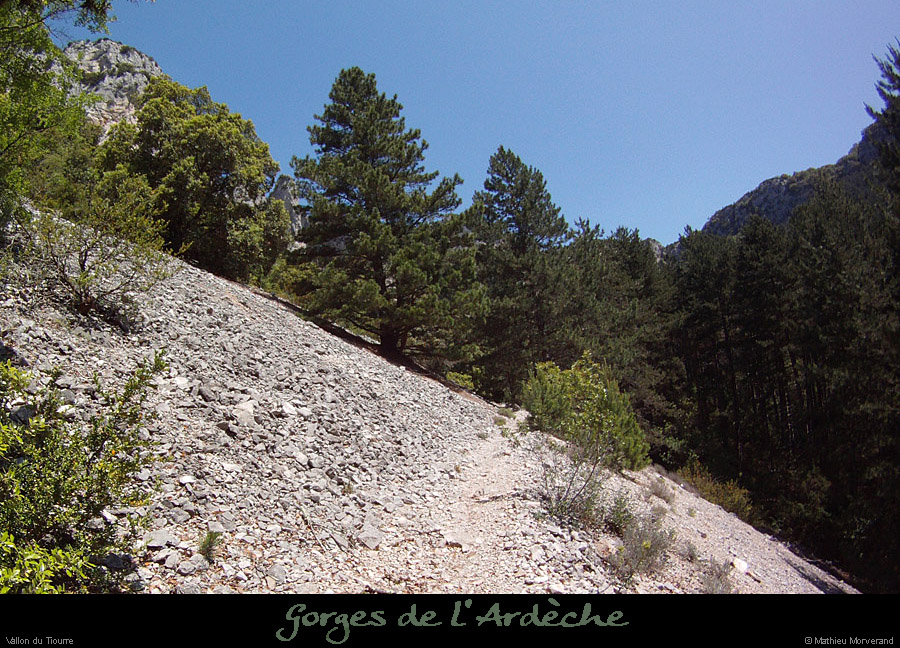 20120524_vallontiourre_sentier6