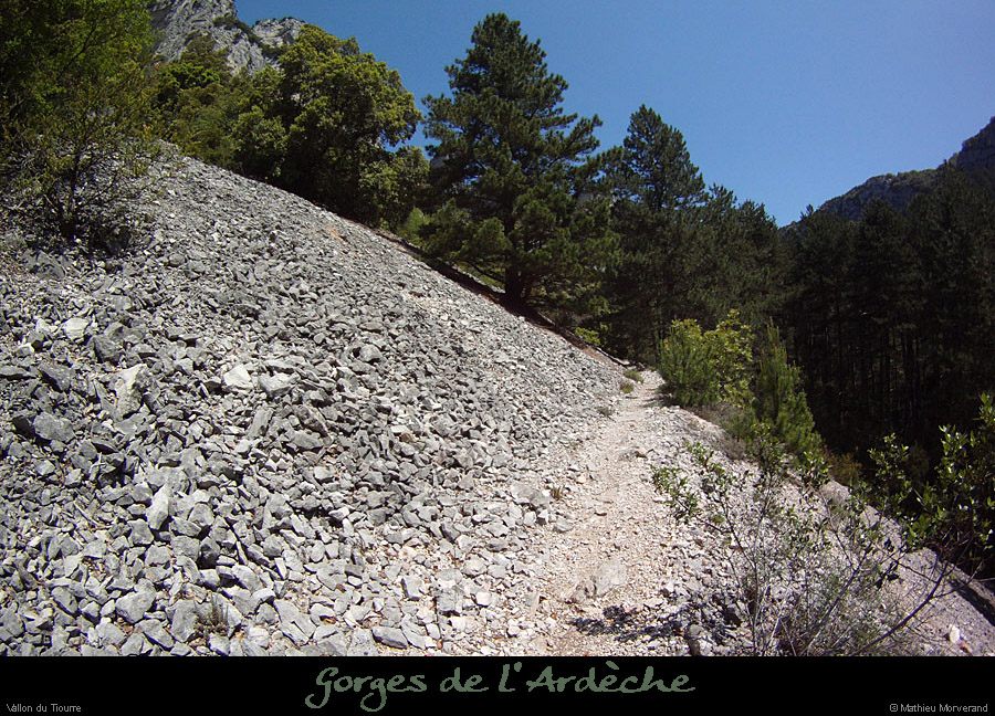 20120524_vallontiourre_sentier7
