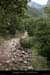 20080601_tiourresentier