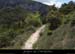 20130522_vallontiourre_sentier3