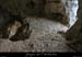 20081123_5fenetres_ouverture4_7