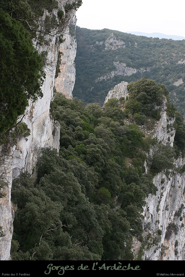 20081228_falaise5fenetresduhaut_4