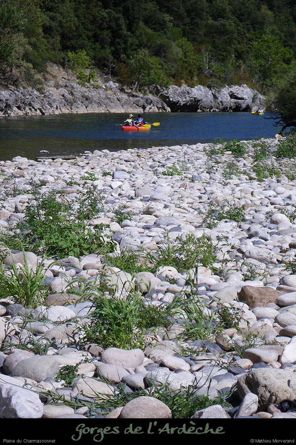 20090813_farreplagegalets3
