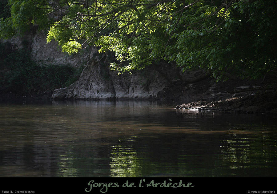 20110421_charmassonnet_rivesud3
