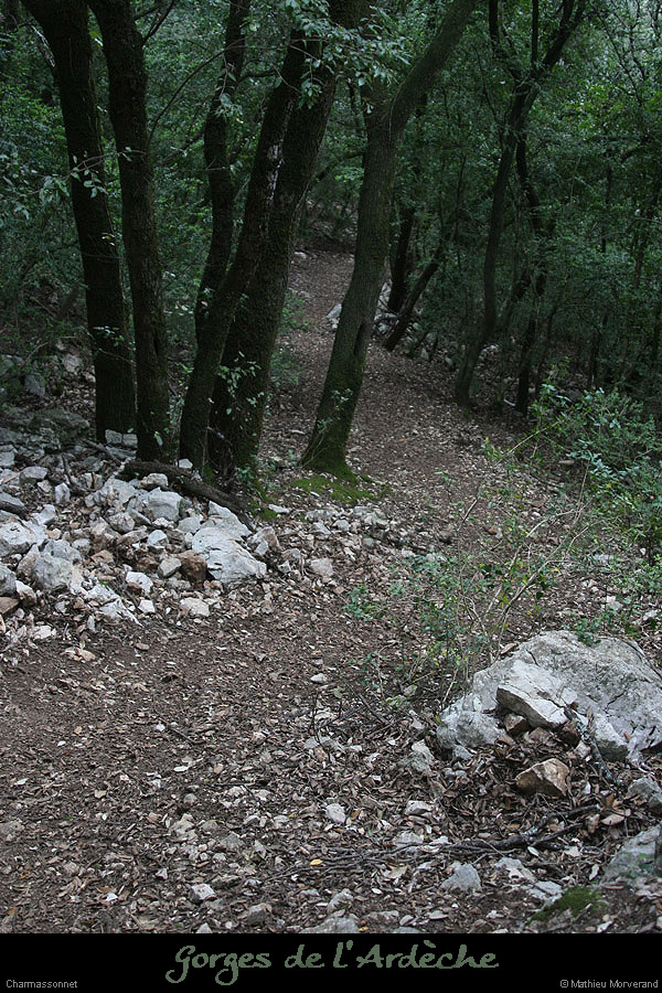 20130421_sentiercharmasson