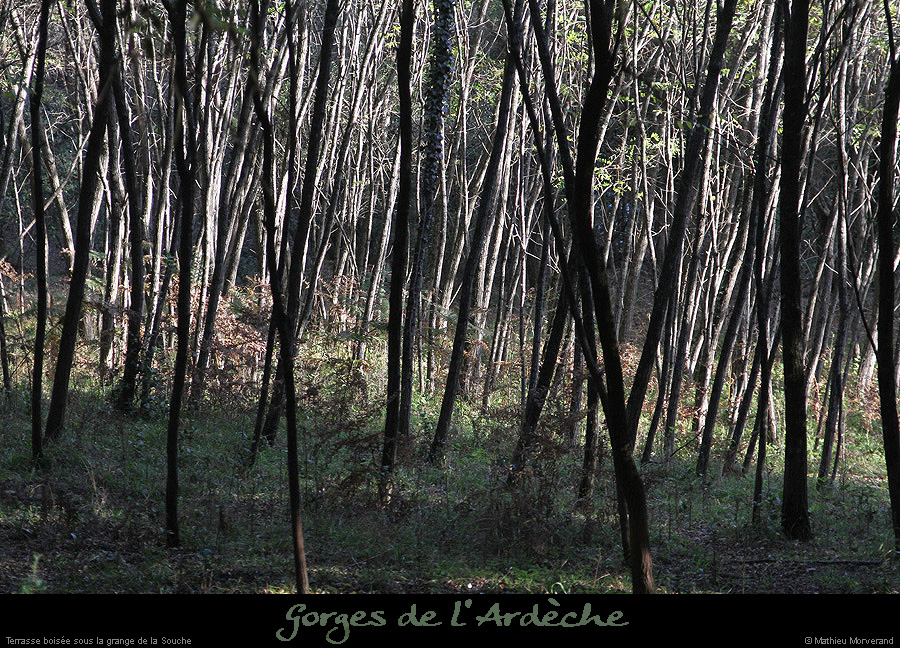 20151115_gorges5