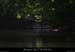 20110421_charmassonnet_rivesud2