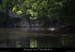 20110421_charmassonnet_rivesud3