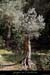 20130407_charmassonnet_batisse_olivier