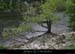 20130421_plainecharmassonnet_rg2