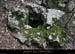 20130421_sentiercharmasson_vestige