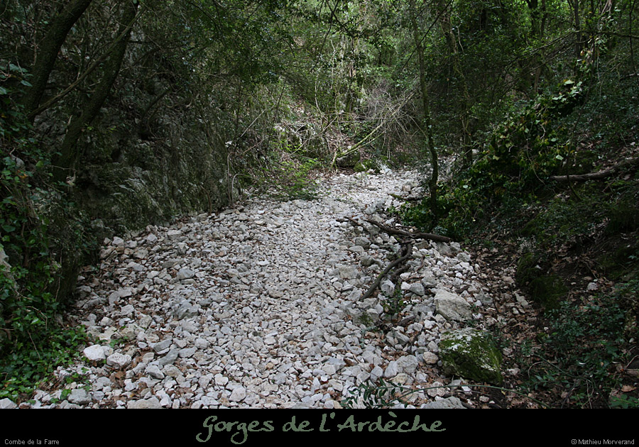 20080508_combedelafarre2