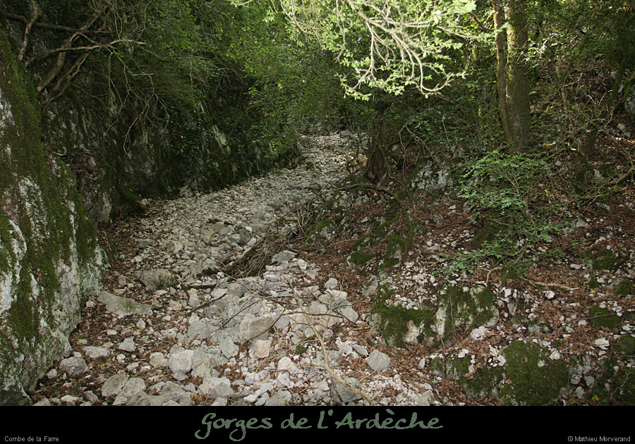 20080508_combedelafarre4