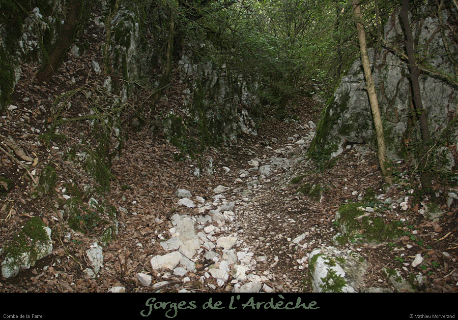 20080508_combedelafarre5