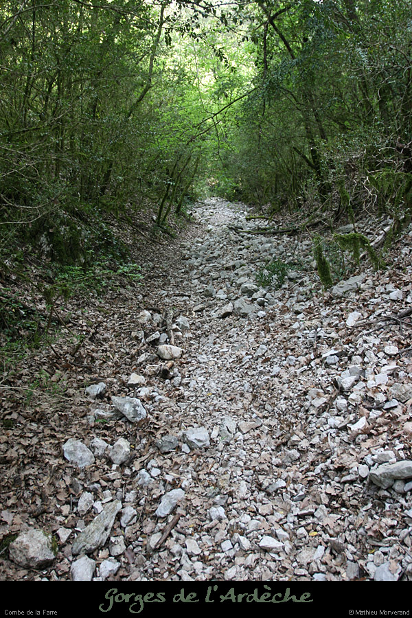 20080508_combedelafarre7