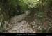 20080508_combedelafarre4