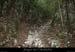 20080508_combedelafarre5