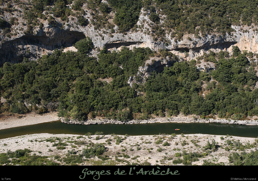 20090823_farredesaleyronest2