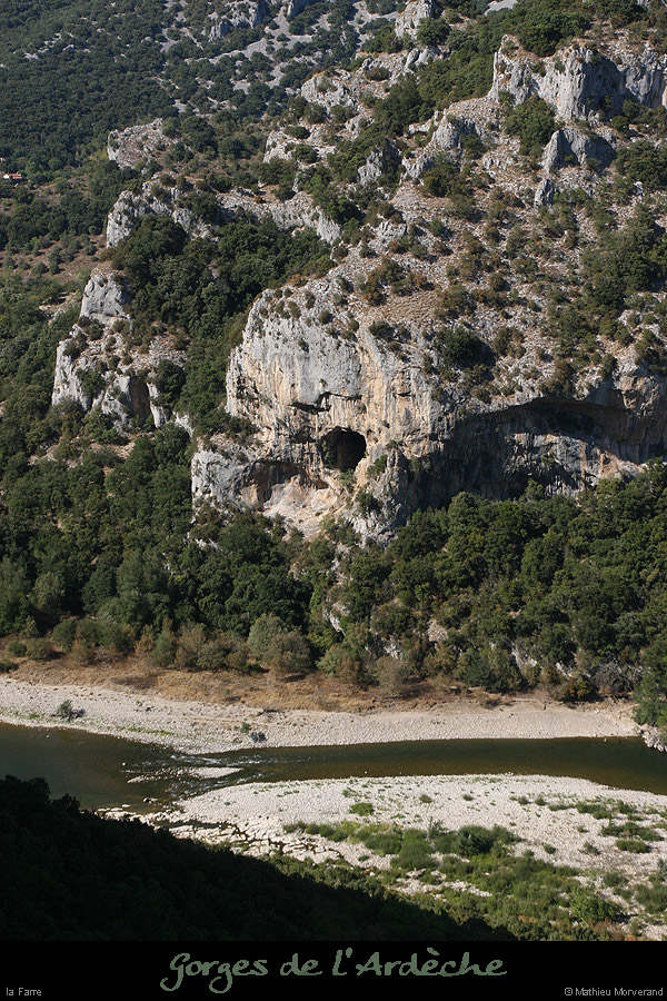 20090823_farredesaleyronest3