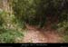 20010819_rouveyrollelequeron1
