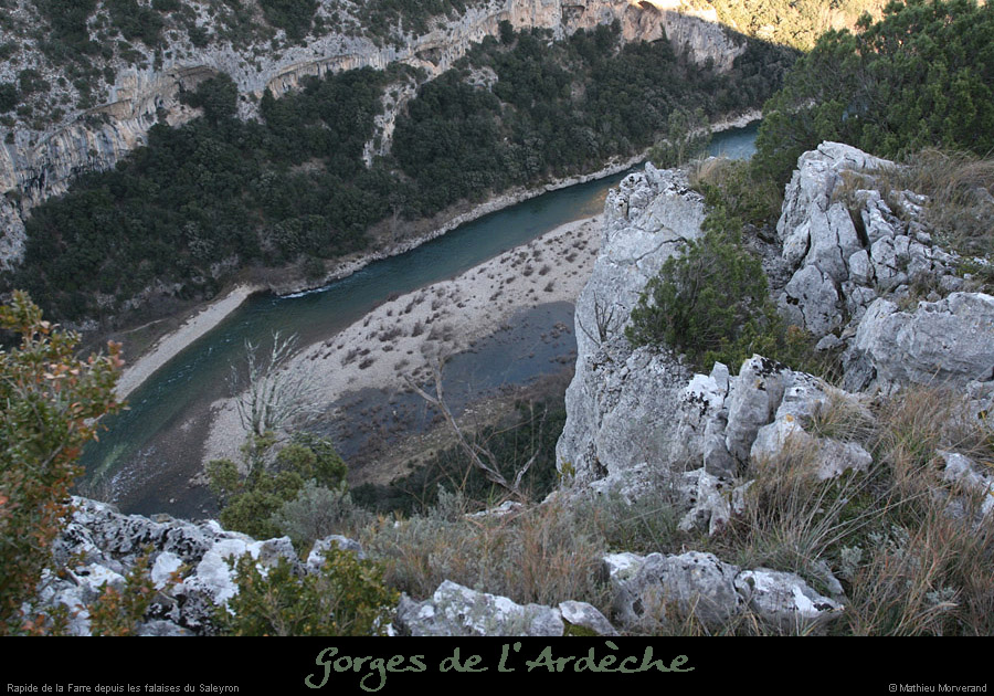 20081221_farredesaleyron2