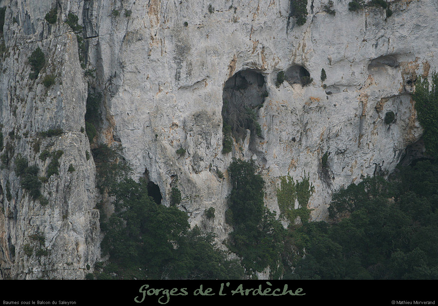 20081228_saleyron_baumessbalcon4
