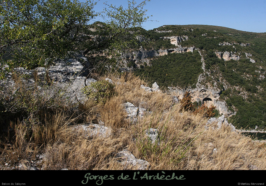20090823_saleyron_balconaiguille