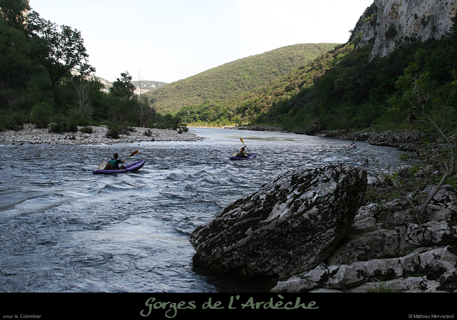 20080508_ardechesscolombier1