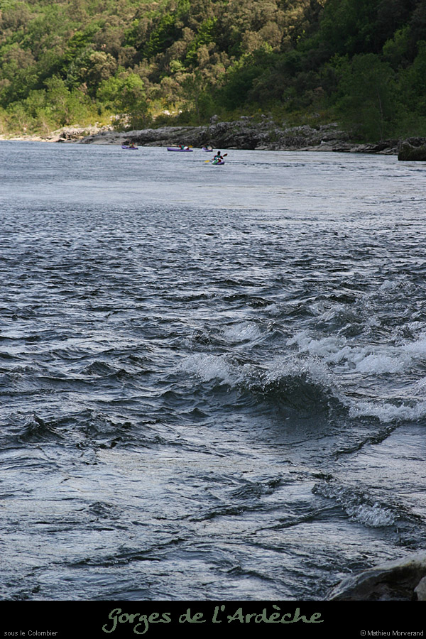20080508_ardechesscolombier4